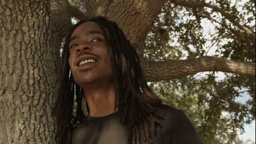 Didn't You Hear? Bild 1