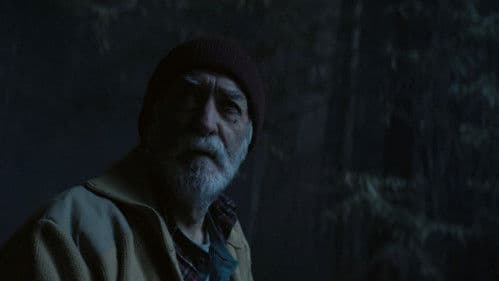 Donde se quejan los pinos Bild 1