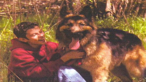 Bring Him Home Bild 1