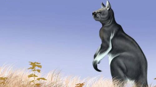 O Poema Imperfeito Bild 4