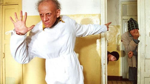 Menschen zweiter Klasse Bild 2