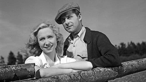 De røde heste Bild 2