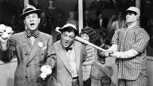 Fallschirmakrobaten Bild 4