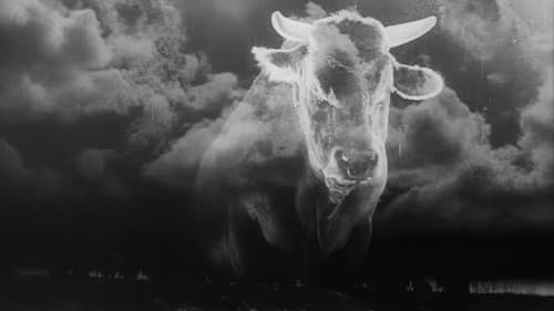 Die Generallinie Bild 8