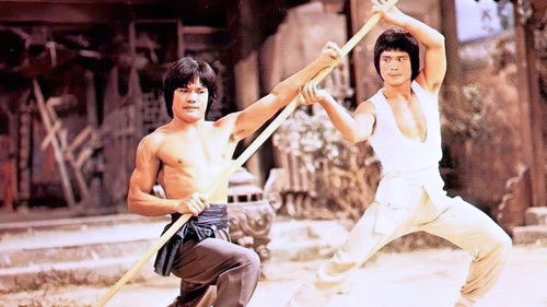 Das tödliche Erbe des Shaolin Bild 3