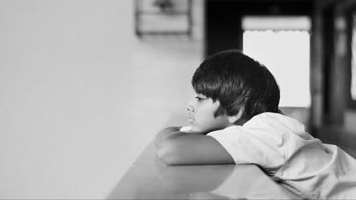 A Billion Colour Story Bild 2