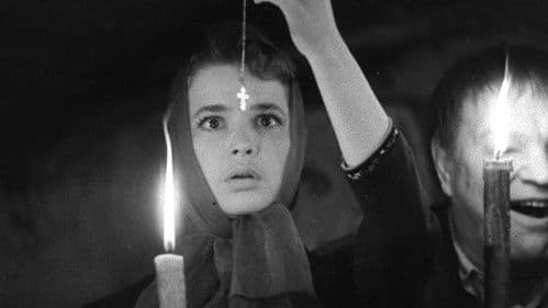 Die Steinblume Bild 4