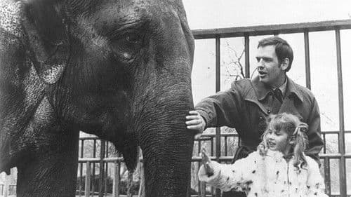 The Way We Live Now Bild 1