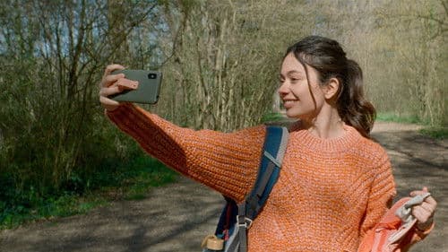 Girasoles silvestres Bild 5