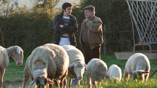 Vá Cavar Batatas Bild 1