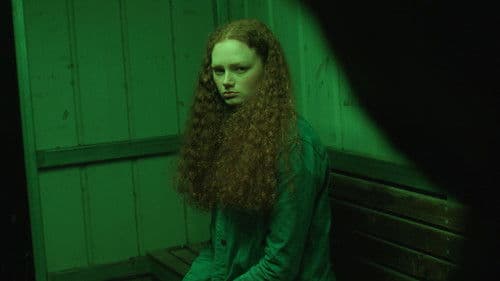 The Bus to Nowhere Bild 1