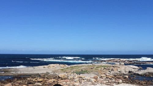 I'm Khoisan, not Coloured Bild 2