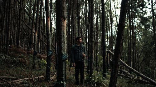 Flesh and Blood Bild 1