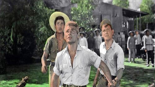 Gefangene des Dschungels Bild 2