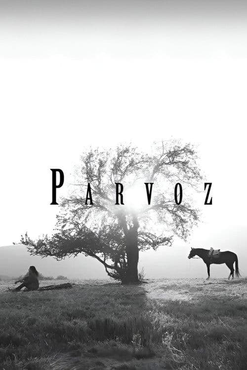 Parvoz