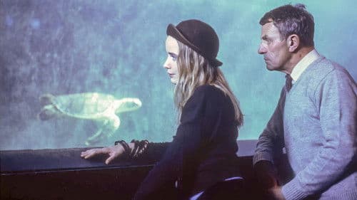 Im Jahr der Schildkröte Bild 1