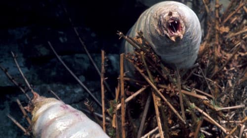 Doctor Who: The Green Death Bild 3