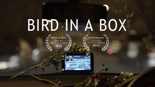 Bird in a Box Bild 1