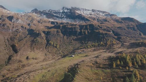 Der Deserteur Bild 5