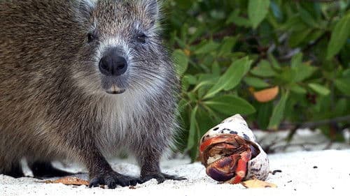 Castro's Secret Reef Bild 7