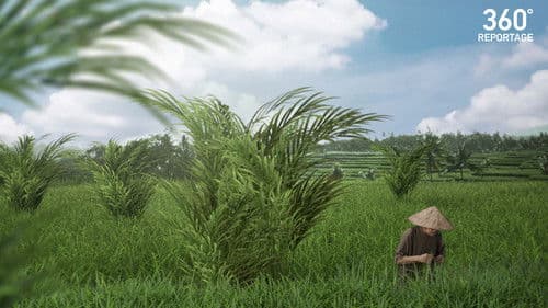 ARTE 360° Reportage Bild 2