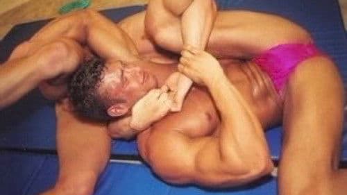 Wrestler For Hire Bild 2