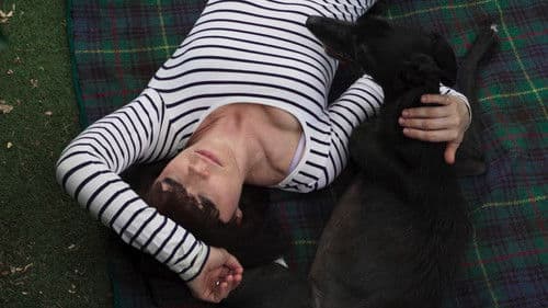 Year of the Dog Bild 1