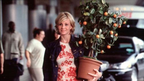 Alle lieben Lucy Bild 1