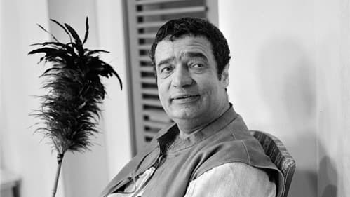 Skapinova šibalství Bild 2