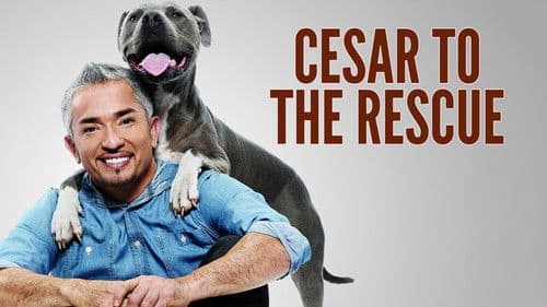 Notruf Hund - Einsatz für Cesar Bild 4