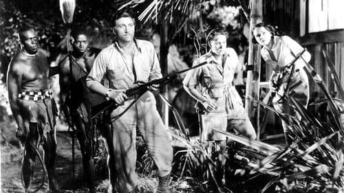 Tarzans Rache Bild 4