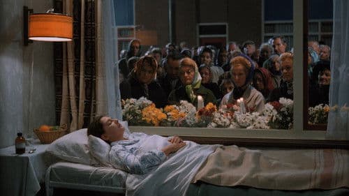 Die Noorderlinger Bild 4