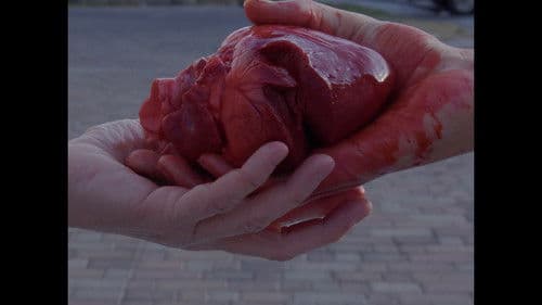 External Exchange Bild 1