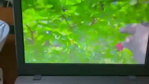 In a Violent Suburbs Bild 1