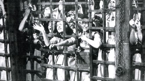 Das Schiff der verlorenen Frauen Bild 1