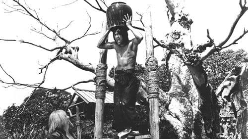 Die Blutsbrüder der grausamen Fäuste Bild 1