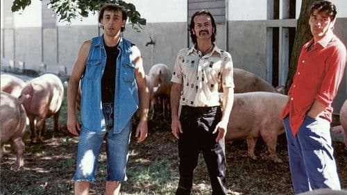 Viola bacia tutti Bild 1