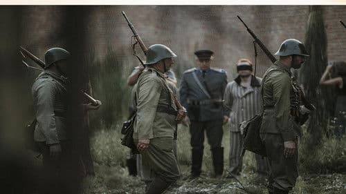 Între chin și amin Bild 4