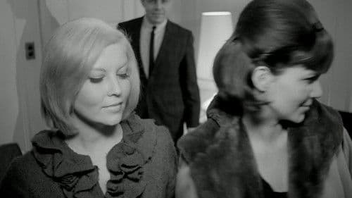 Red Roses of Passion Bild 2