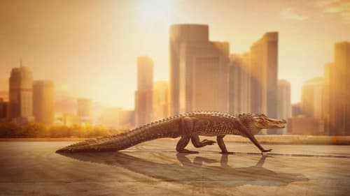 Cities: Nature's New Wild Bild 1