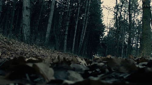 A Molyember incidens Bild 1