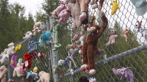 L’Affaire Cédrika, selon Claude Poirier Bild 1