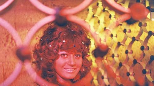 قطط شارع الحمرا Bild 3