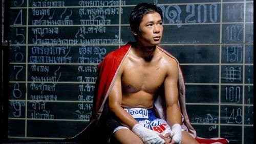 Beautiful Boxer Bild 1