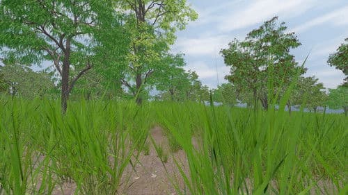 For all the magic hidden in this world Bild 3