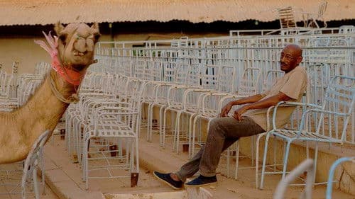 Talking About Trees Bild 4