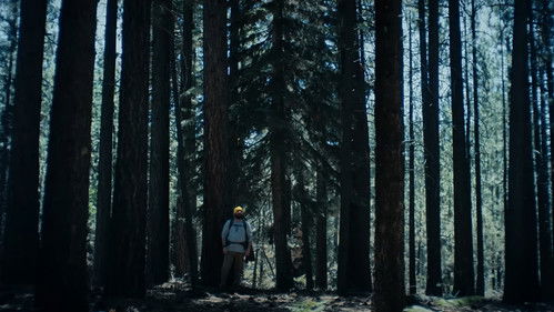 The Hidebehind Bild 1