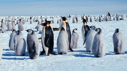 Life in the Freezer Bild 3