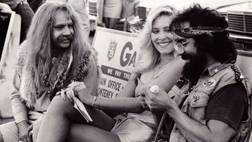 Cheech & Chong - Noch mehr Rauch um überhaupt nichts Bild 4