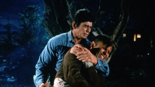 ...und knallten ihn nieder Bild 1